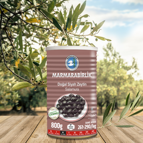 800 Gr. (M) Salamura Siyah Zeytin Teneke Kutu Am
