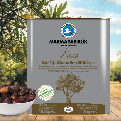 10 kg. Alaca Yağlı Salamura Rengi Dönük Zeytin XL-L (201-260 adet/kg) teneke